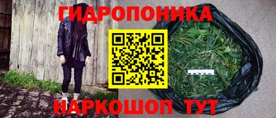 прущие крисы Рузаевка