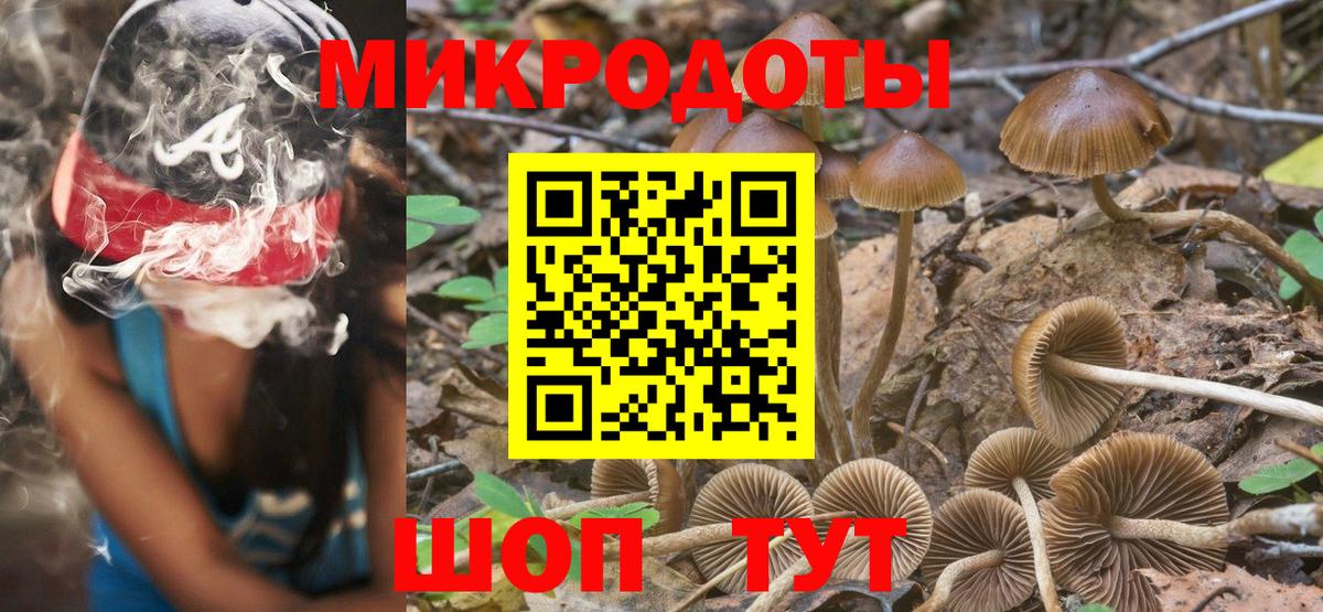 Галлюциногенные грибы мицелий  Вход с VPN  Галлюциногенные грибы мицелий  Саранск 