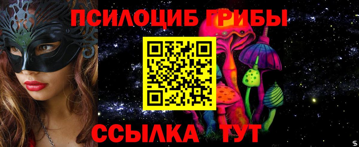 Псилоцибиновые грибы Cubensis Саранск