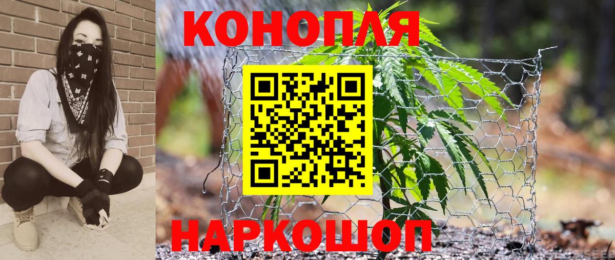 Каннабис THC 21%  Канабис сатива  Саранск  Бошки Шишки LSD WEED  Вход с VPN 